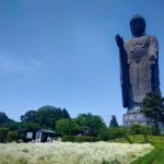 仏像のココが面白い！～仏像って何？編～